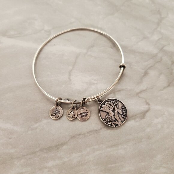 Alex and Ani Silver Sister Expandable Charm Bracelet - Picture 1 of 3